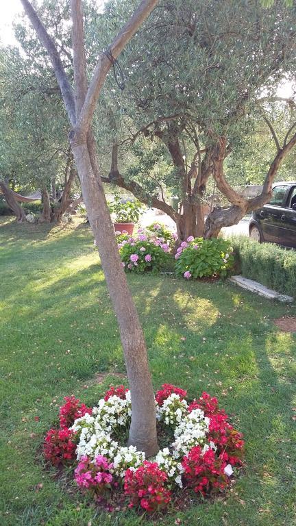 Apartment Oaza Mira Tribunj (Sibenik-Knin)