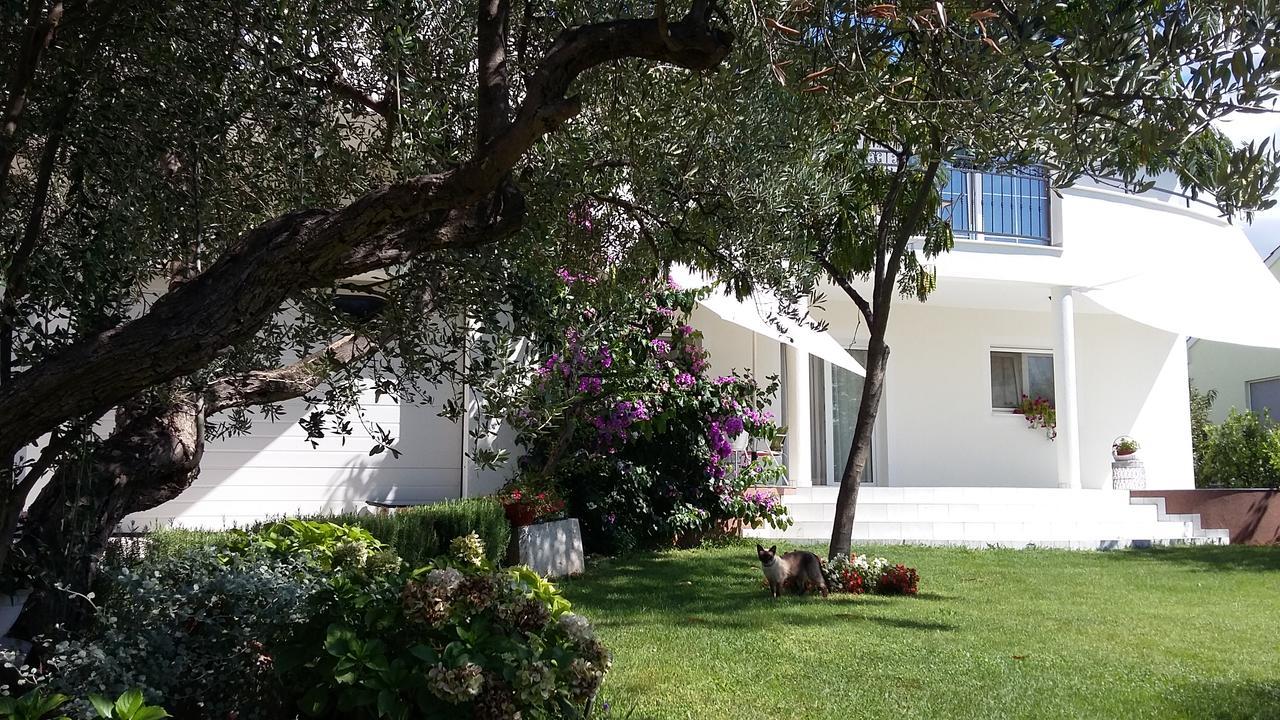 Oaza Mira Tribunj (Sibenik-Knin)