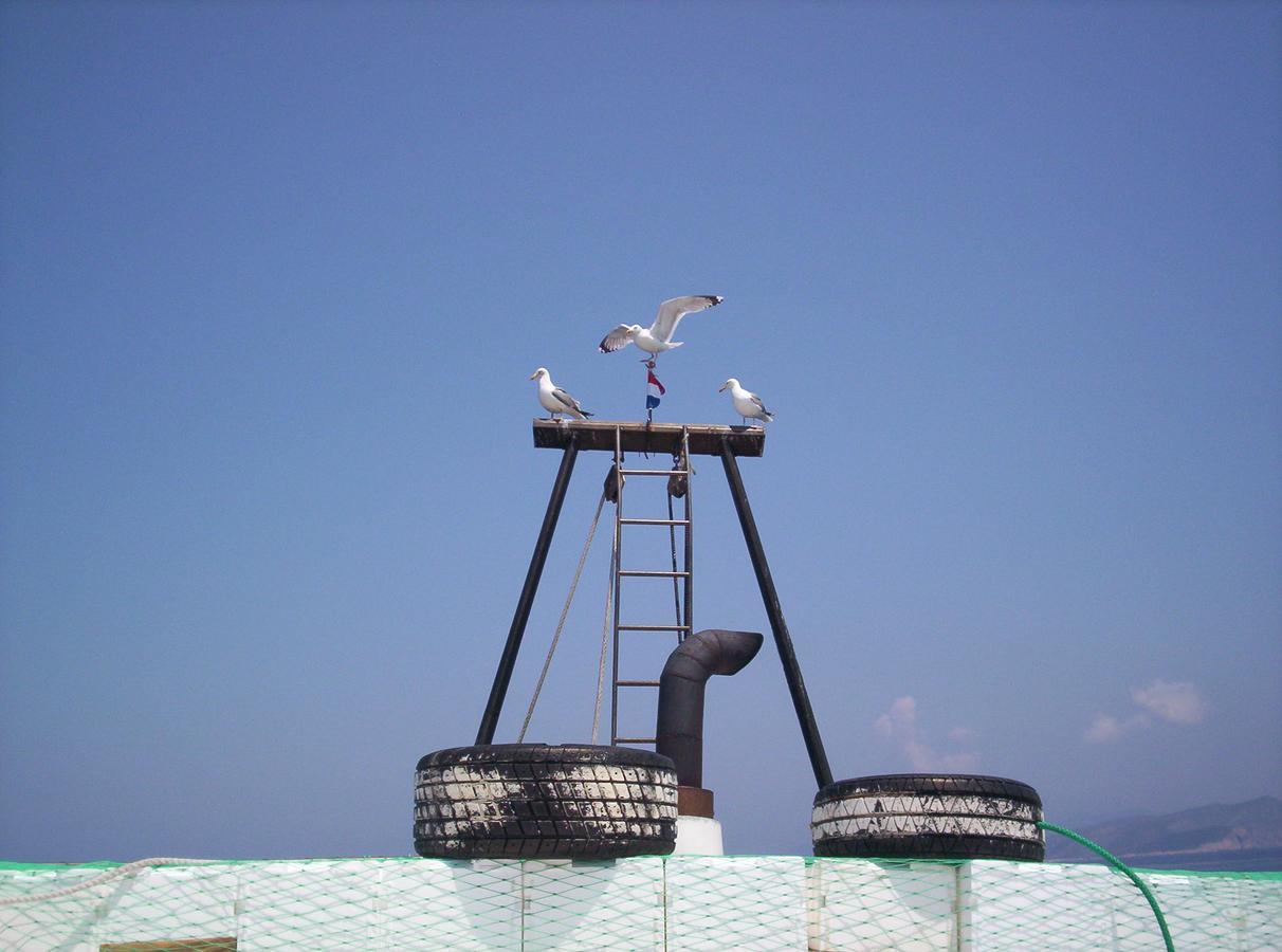 Oaza Mira Tribunj (Sibenik-Knin)
